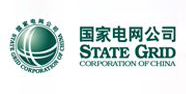       电网公司